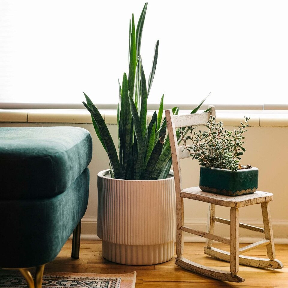 Fluted Indoor/Outdoor Planters White west elm Australia